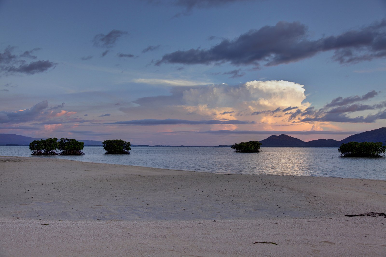 Mangrove islets and forested hills along the coast at White Island, Bougainville